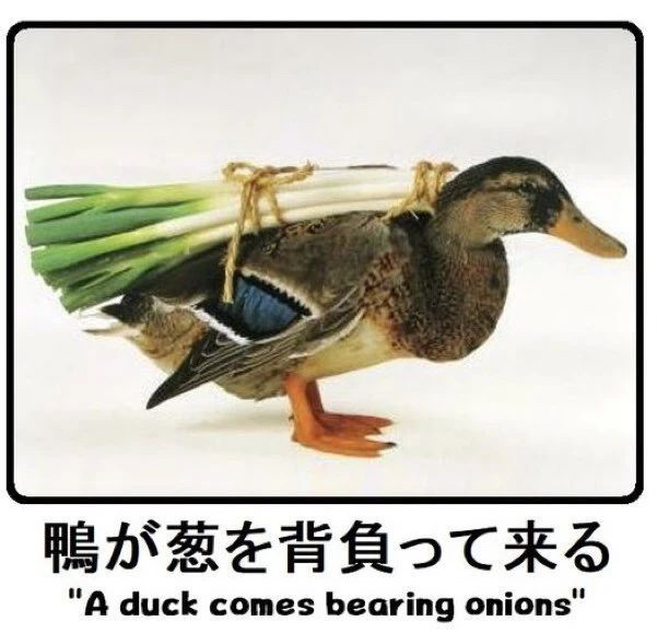 a photo of a duck carrying spring onions on its back captioned with 'a duck comes bearing onions'